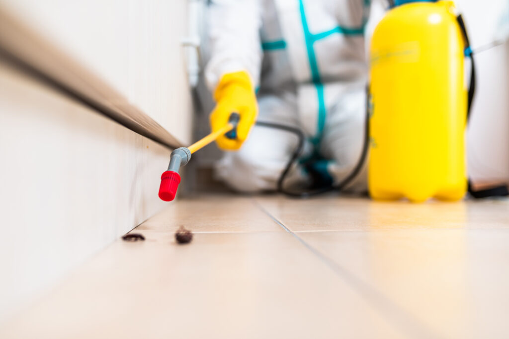 Columbus Cockroach Experts
