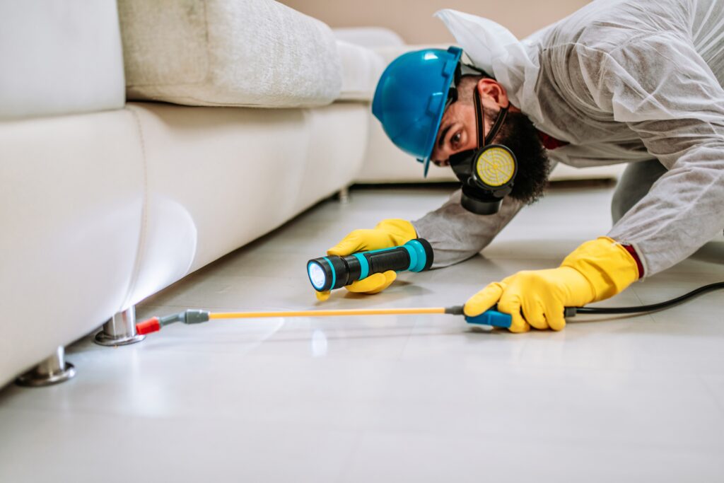 Columbus Termite Control