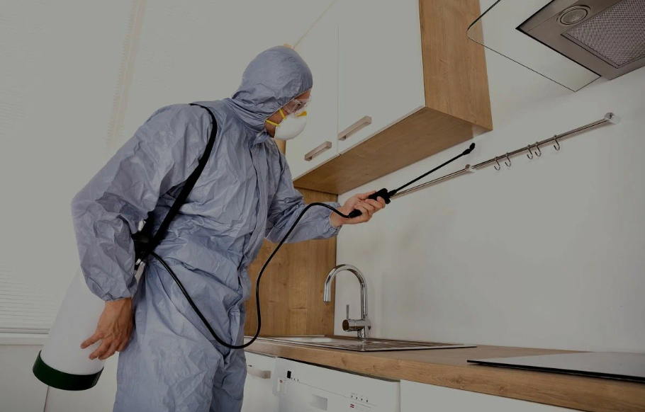 Columbus pest managment